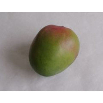 Bio mango odrůda Amelie 1 kus
